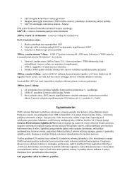 Nepriklausomybės atkūrimas 4 puslapis
