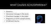 Schizophrenia 6 puslapis