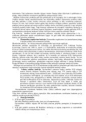 Europos centrinis bankas. Istorija, raida, funkcijos. 7 puslapis