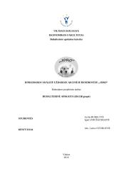 Rinkodaros analizė UAB "Joro"