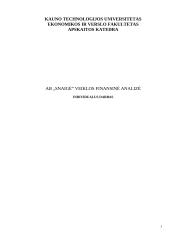 AB "Snaigė" finansinė veiklos analizė