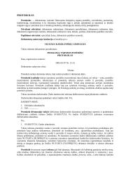 Protokolo išaiškinimas