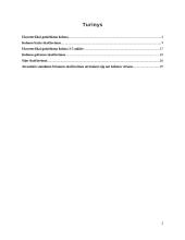 Plieninės kolonos ir sijos konstrukciniai skaičiavimai 2 puslapis