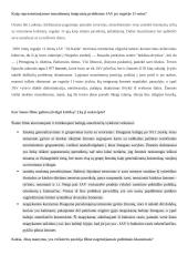 Medijų filosofija. Filmo „The Reluctant Fundametalist“ pristatymas 2 puslapis