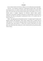 Reklamos vadyba šiuolaikinėje ekonomikoje 9 puslapis