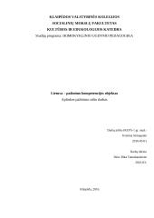 Lietuva – pažinimo kompetencijos objektas
