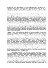 Mačernis „Vizijos“ analizė 2 puslapis