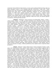 Mačernis „Vizijos“ analizė 3 puslapis