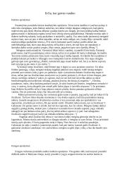 Apučio novelių konspektai 2 puslapis