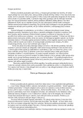 Apučio novelių konspektai 6 puslapis