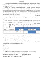 Senų PUPP gramatikos užduotys 6 puslapis