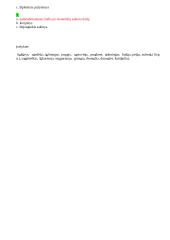 Rašybos pratimai 2 puslapis