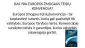Europos Žmogaus teisių teismas 5 puslapis