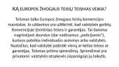 Europos Žmogaus teisių teismas 6 puslapis