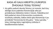 Europos Žmogaus teisių teismas 7 puslapis
