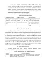 Valstybės skolos analizė 2018-2020 metų 2 puslapis