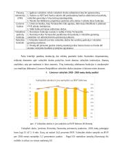 Valstybės skolos analizė 2018-2020 metų 3 puslapis
