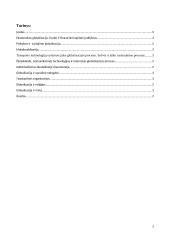 Globalizacijos problematika sociologijoje 2 puslapis