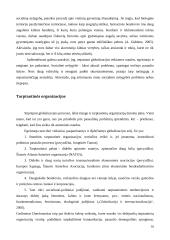 Globalizacijos problematika sociologijoje 16 puslapis