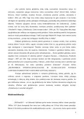 Globalizacijos problematika sociologijoje 6 puslapis
