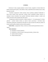 Turistinis mašrutas Lietuvoje 2 puslapis