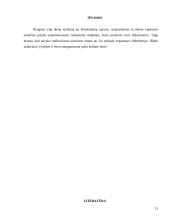 Turistinis mašrutas Lietuvoje 12 puslapis