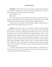 Turistinis mašrutas Lietuvoje 4 puslapis