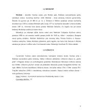 Turistinis mašrutas Lietuvoje 5 puslapis