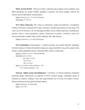 Turistinis mašrutas Lietuvoje 10 puslapis