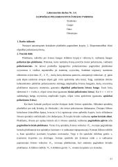 Tyrimas: Elipsiškai poliarizuota šviesa