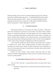 Verslo planas: parduotuvė UAB "Greiti batai" 2 puslapis