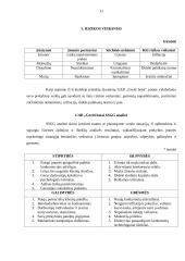 Verslo planas: parduotuvė UAB "Greiti batai" 11 puslapis