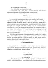 Verslo planas: parduotuvė UAB "Greiti batai" 3 puslapis