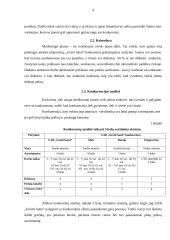 Verslo planas: parduotuvė UAB "Greiti batai" 4 puslapis