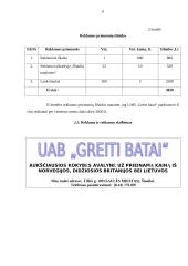 Verslo planas: parduotuvė UAB "Greiti batai" 6 puslapis