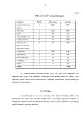 Verslo planas: parduotuvė UAB "Greiti batai" 8 puslapis