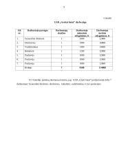 Verslo planas: parduotuvė UAB "Greiti batai" 9 puslapis