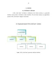 Verslo planas: parduotuvė UAB "Greiti batai" 10 puslapis