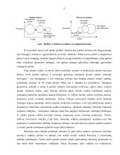 Strateginis planavimas įmonėje "X" 11 puslapis