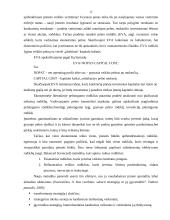 Strateginis planavimas įmonėje "X" 12 puslapis