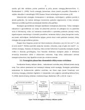 Strateginis planavimas įmonėje "X" 15 puslapis