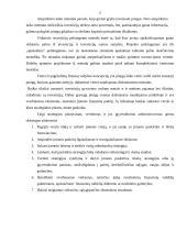 Strateginis planavimas įmonėje "X" 17 puslapis