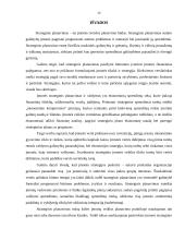 Strateginis planavimas įmonėje "X" 20 puslapis