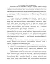 Strateginis planavimas įmonėje "X" 7 puslapis