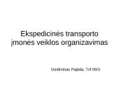 Ekspedicinės transporto įmonės veiklos organizavimas