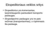 Ekspedicinės transporto įmonės veiklos organizavimas 2 puslapis