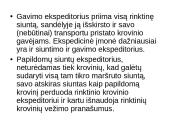 Ekspedicinės transporto įmonės veiklos organizavimas 11 puslapis