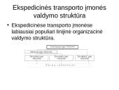 Ekspedicinės transporto įmonės veiklos organizavimas 12 puslapis