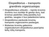 Ekspedicinės transporto įmonės veiklos organizavimas 3 puslapis