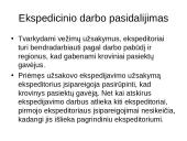 Ekspedicinės transporto įmonės veiklos organizavimas 8 puslapis